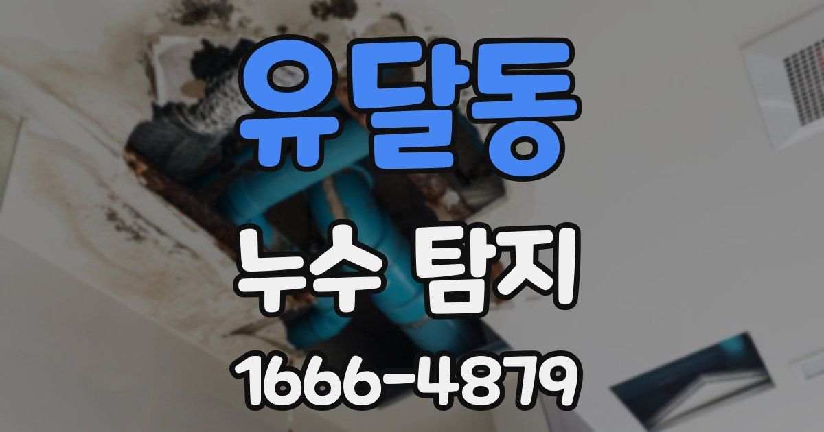 유달동 누수 탐지