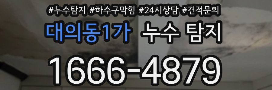 대의동1가 누수 탐지