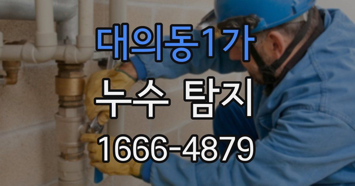 대의동1가 누수 탐지