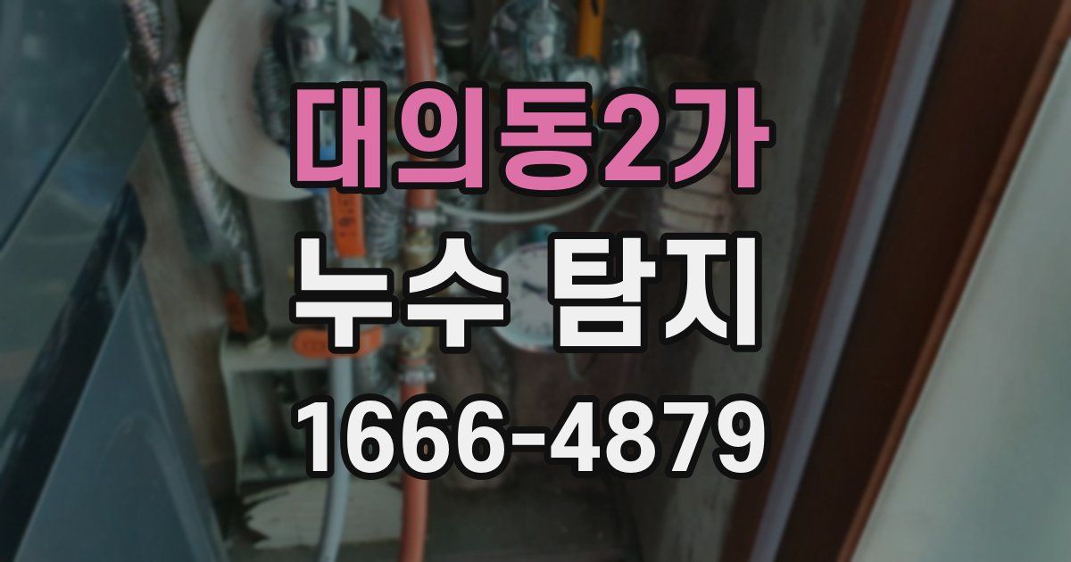 대의동2가 누수 탐지