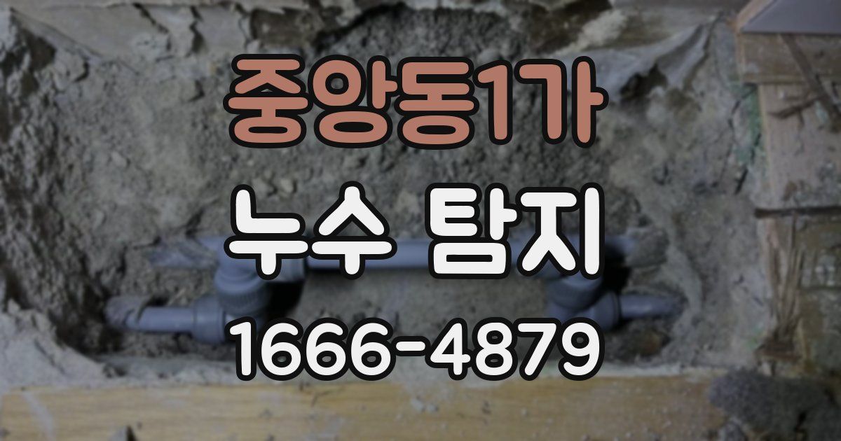 중앙동1가 누수 탐지