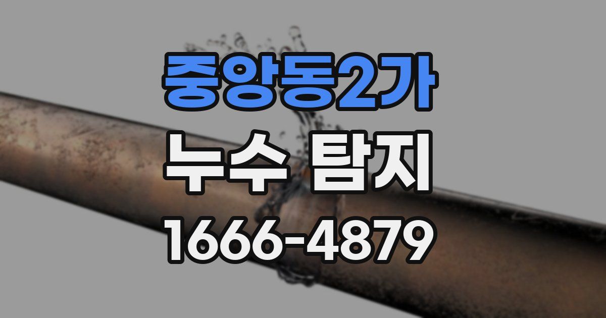 중앙동2가 누수 탐지