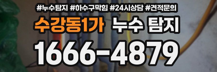 수강동1가 누수 탐지
