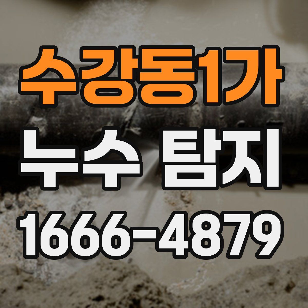 수강동1가 누수 탐지