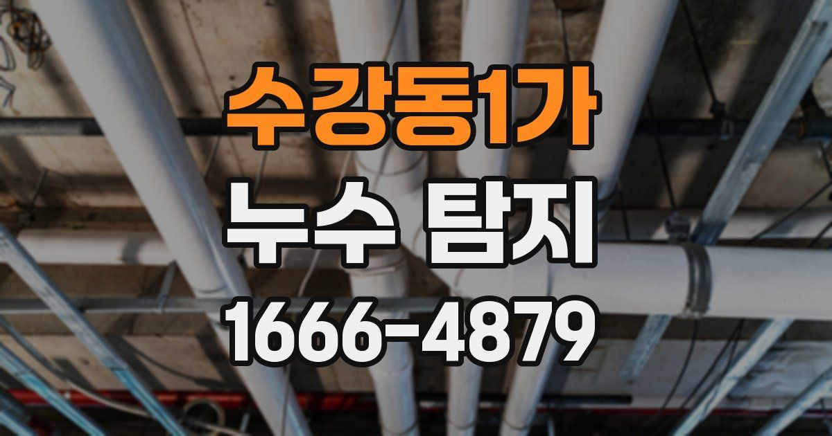 수강동1가 누수 탐지