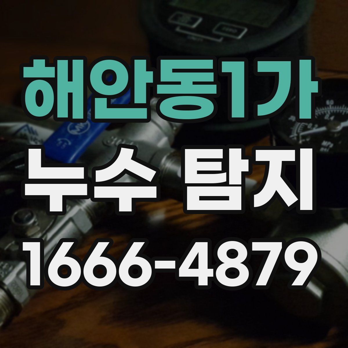 해안동1가 누수 탐지
