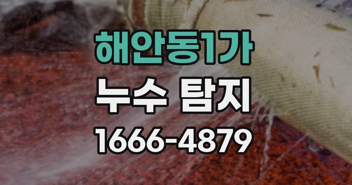 해안동1가 누수 탐지