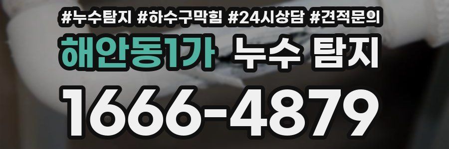 해안동1가 누수 탐지