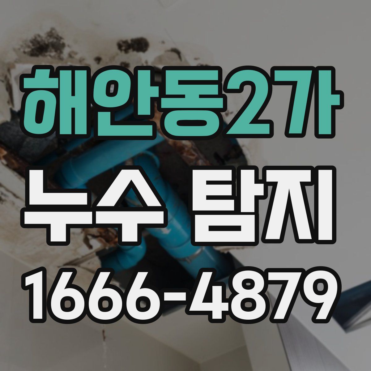 해안동2가 누수 탐지