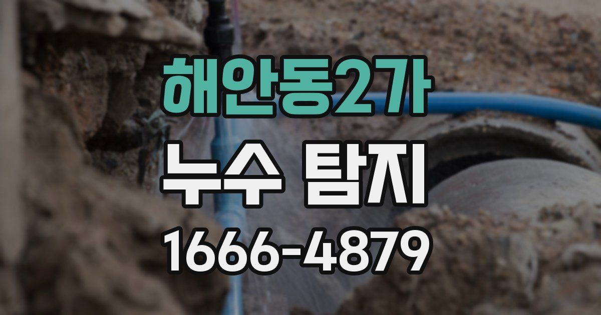 해안동2가 누수 탐지