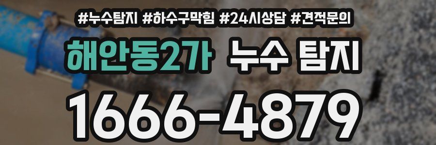 해안동2가 누수 탐지