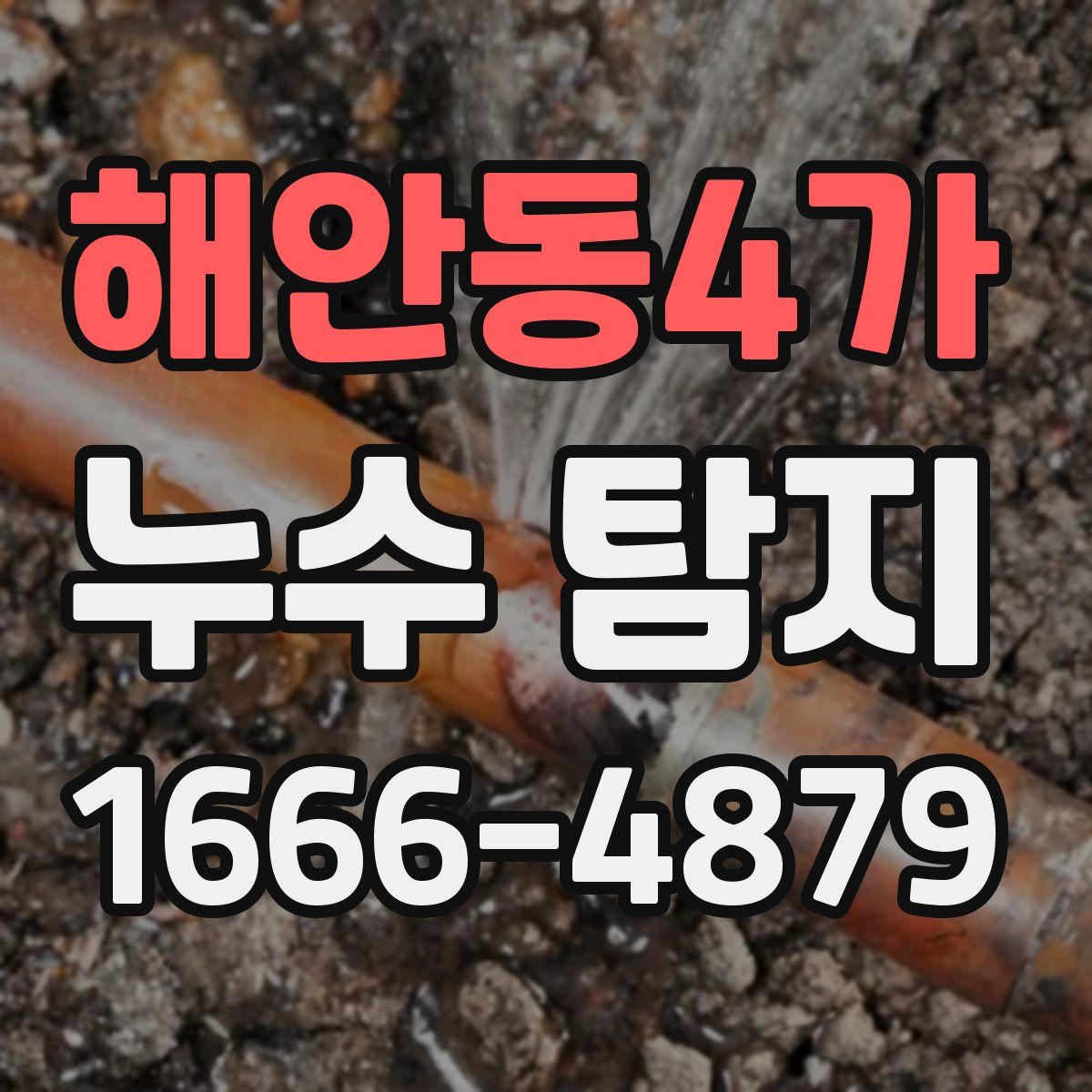 해안동4가 누수 탐지