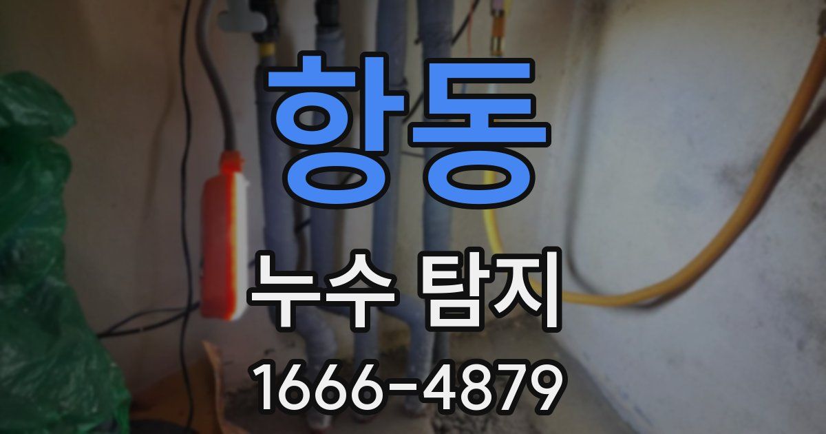 항동 누수 탐지
