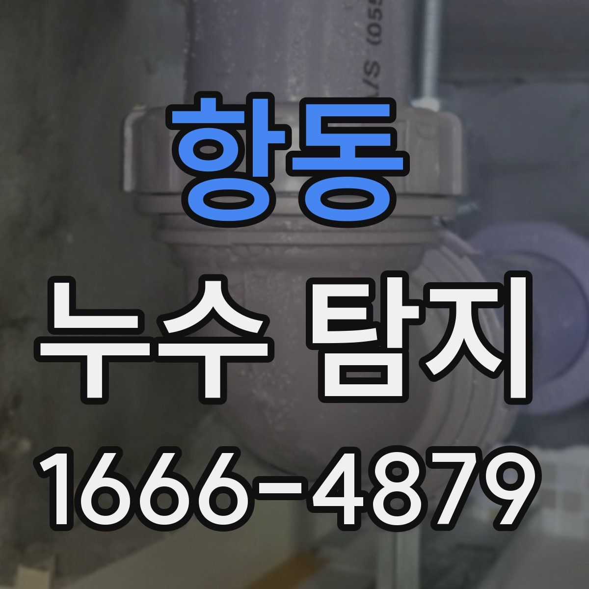 항동 누수 탐지
