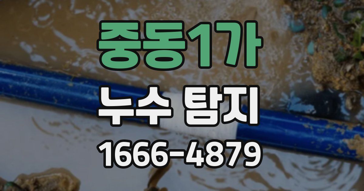 중동1가 누수 탐지