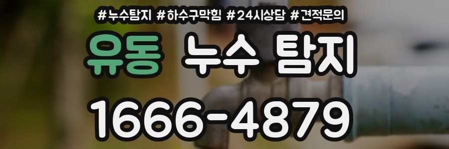 유동 누수 탐지