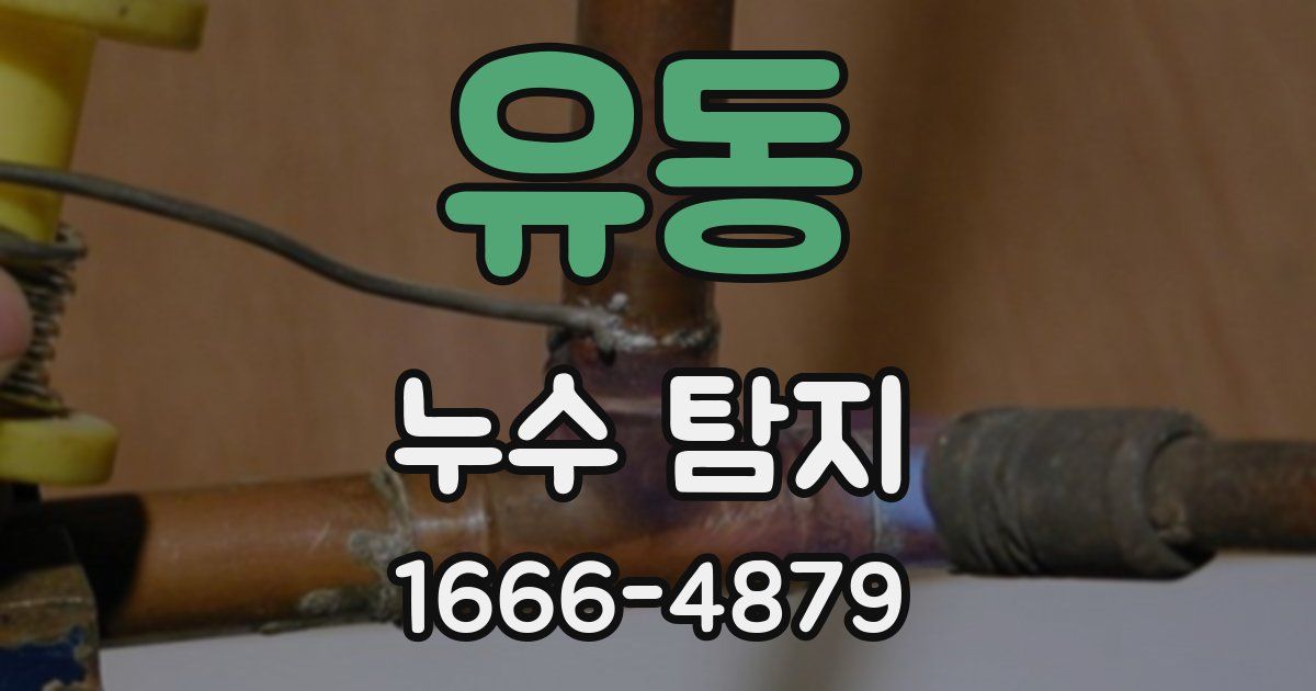 유동 누수 탐지