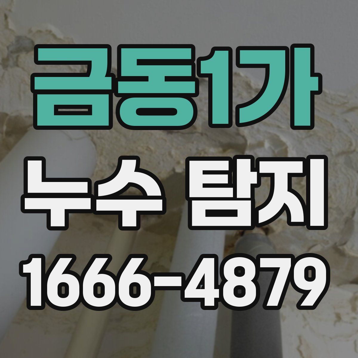 금동1가 누수 탐지