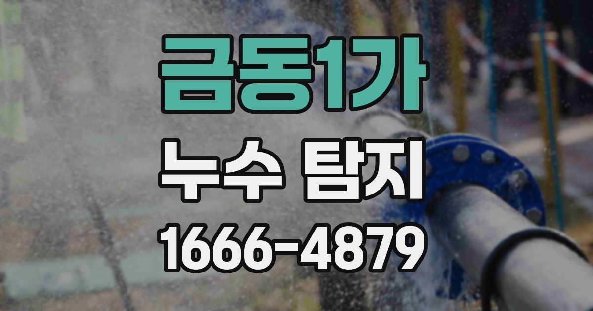 금동1가 누수 탐지