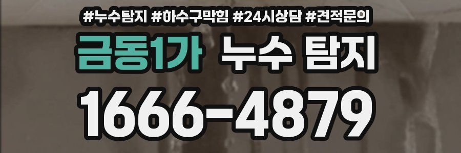 금동1가 누수 탐지