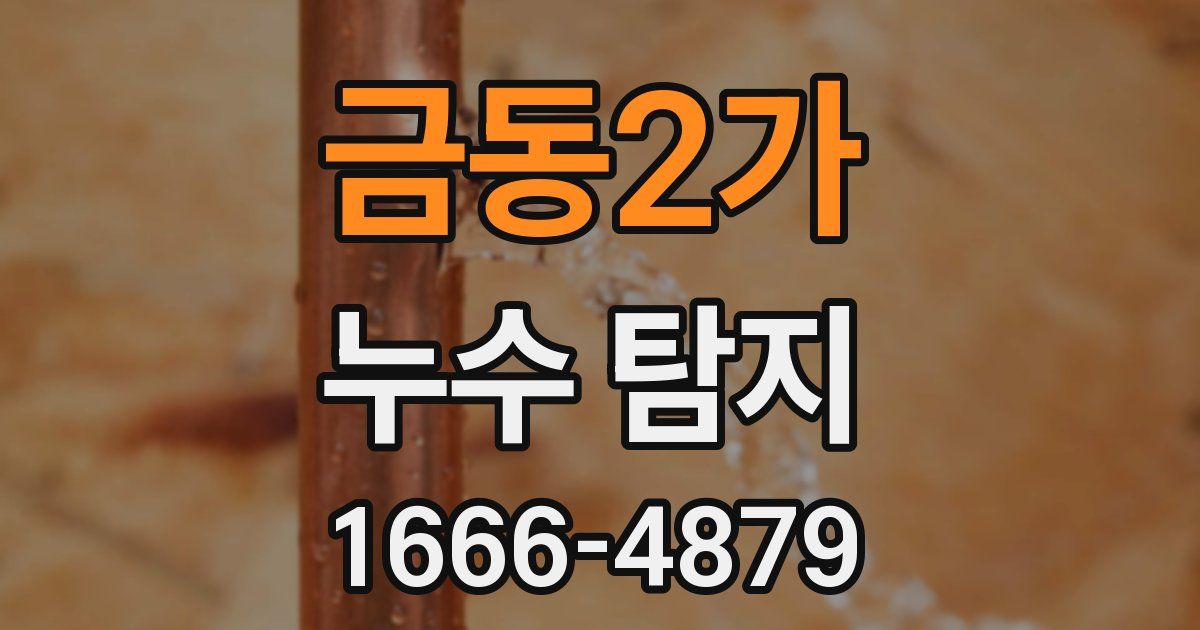 금동2가 누수 탐지