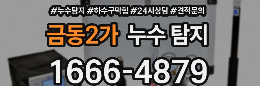 금동2가 누수 탐지