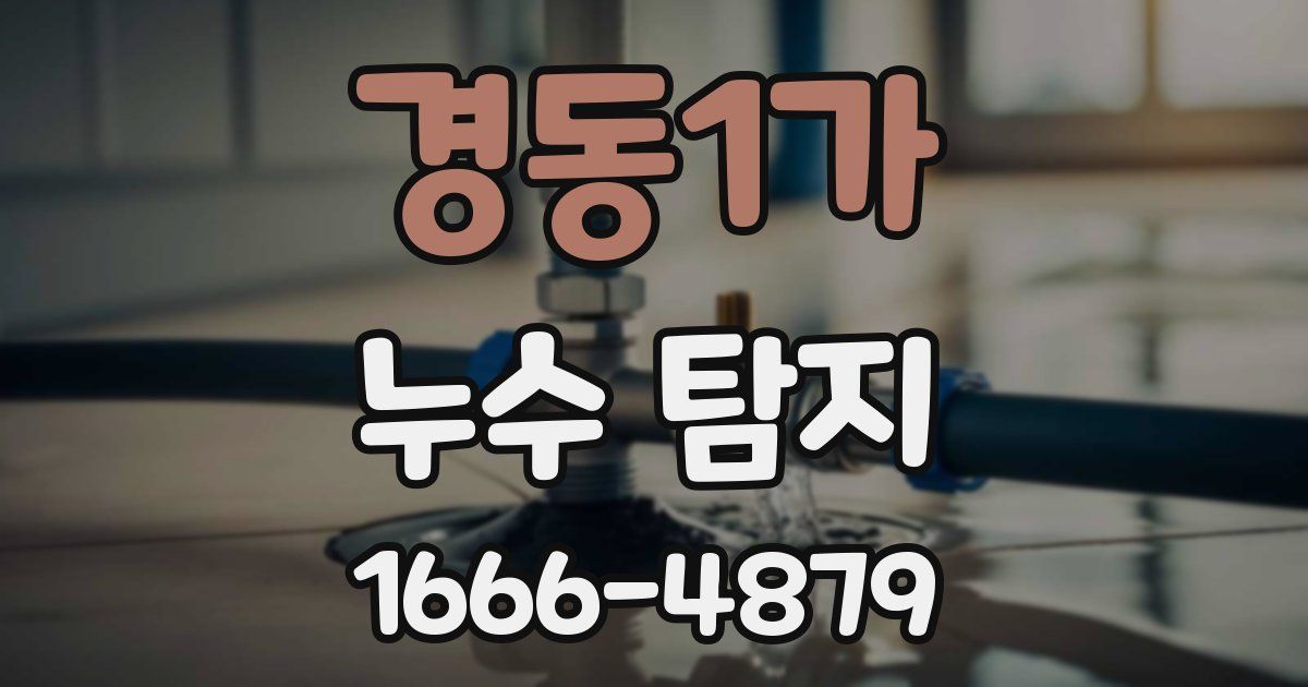 경동1가 누수 탐지