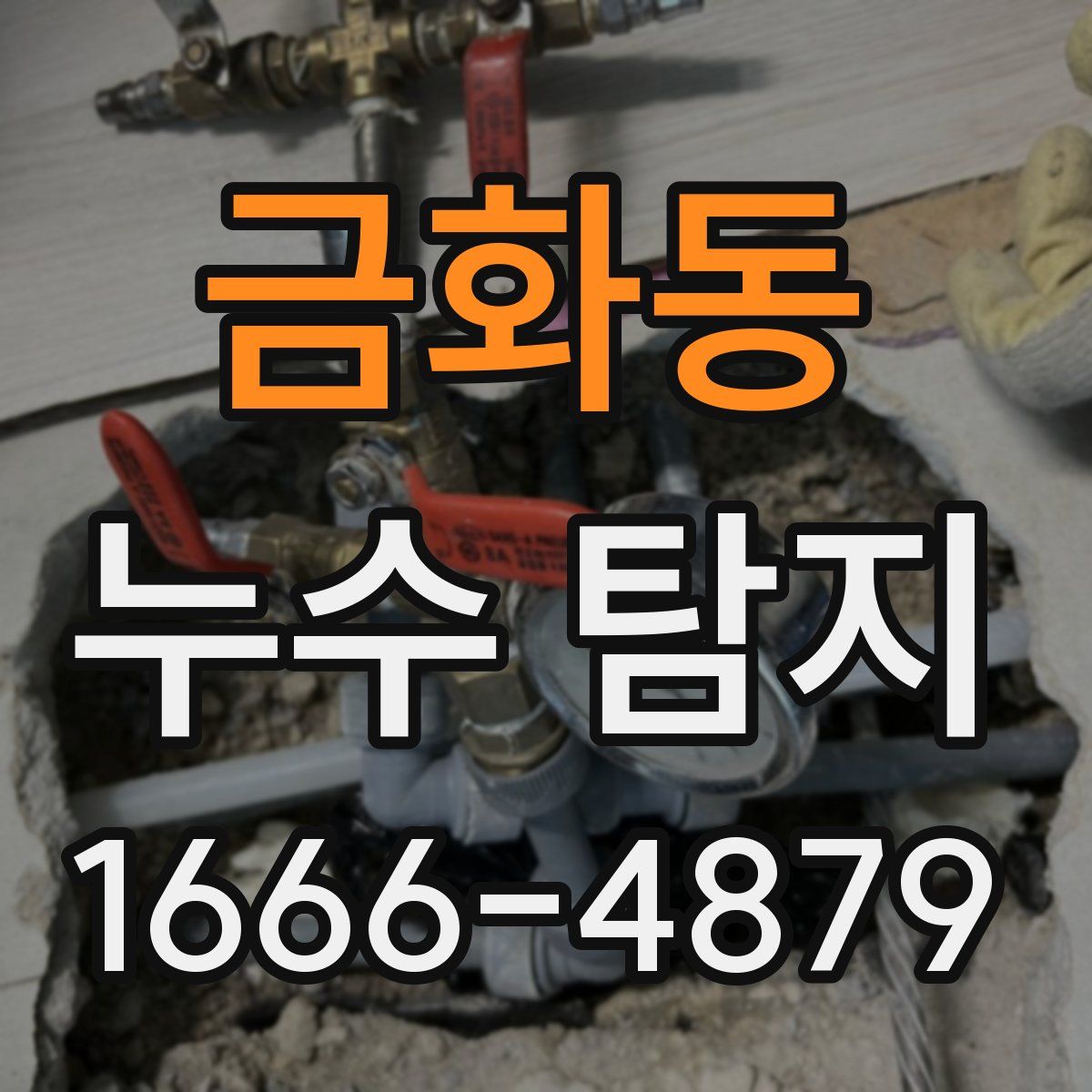 금화동 누수 탐지
