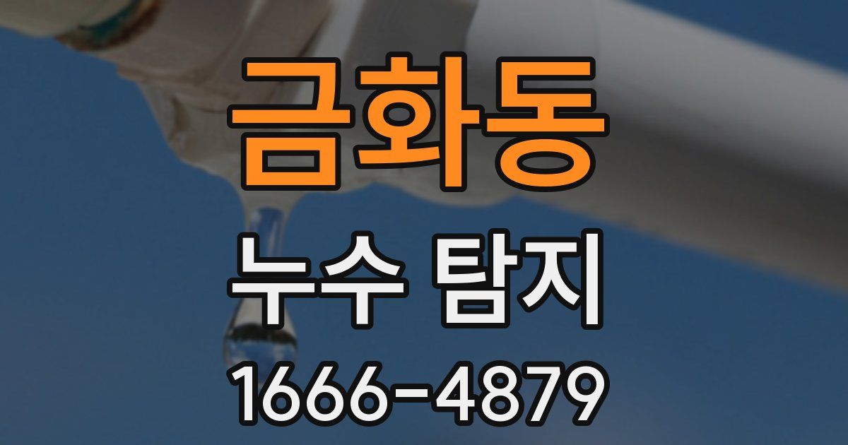 금화동 누수 탐지