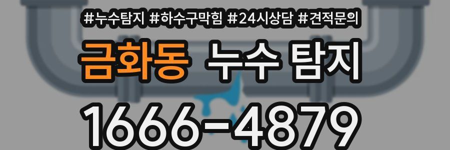 금화동 누수 탐지