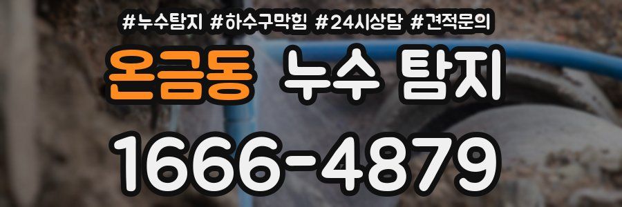 온금동 누수 탐지