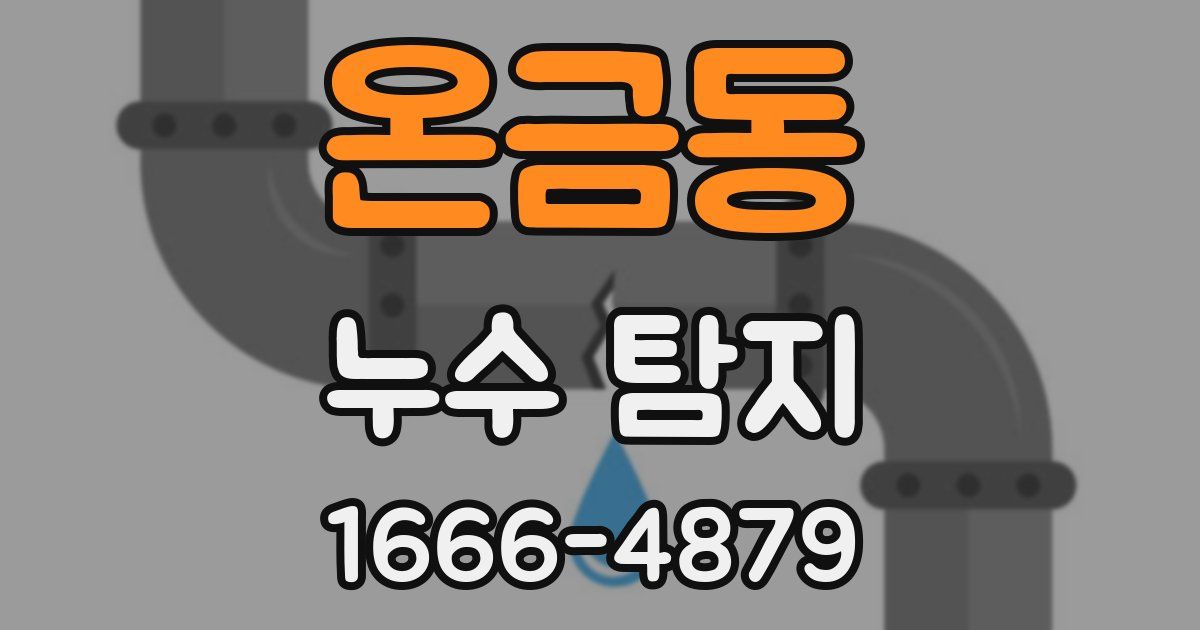 온금동 누수 탐지