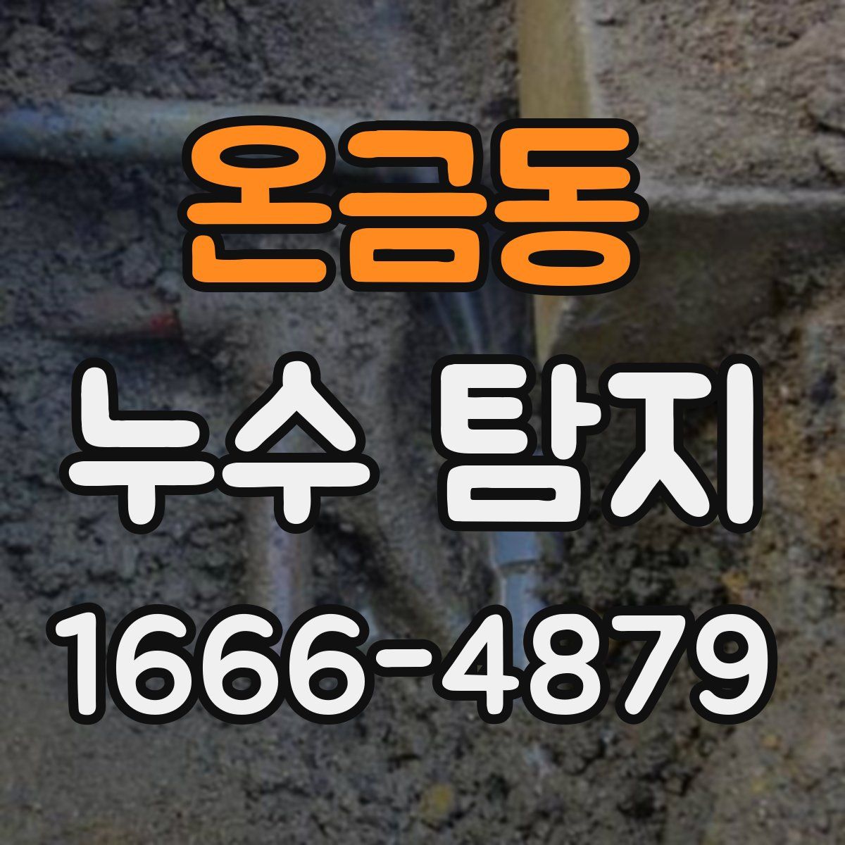 온금동 누수 탐지