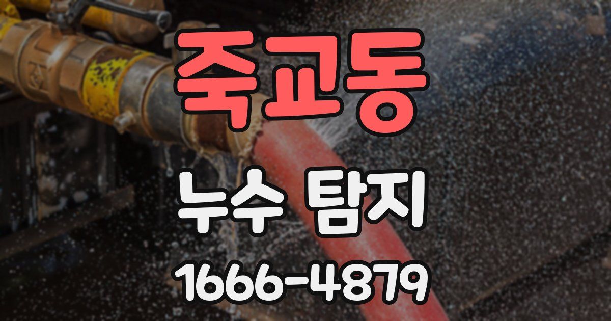 죽교동 누수 탐지