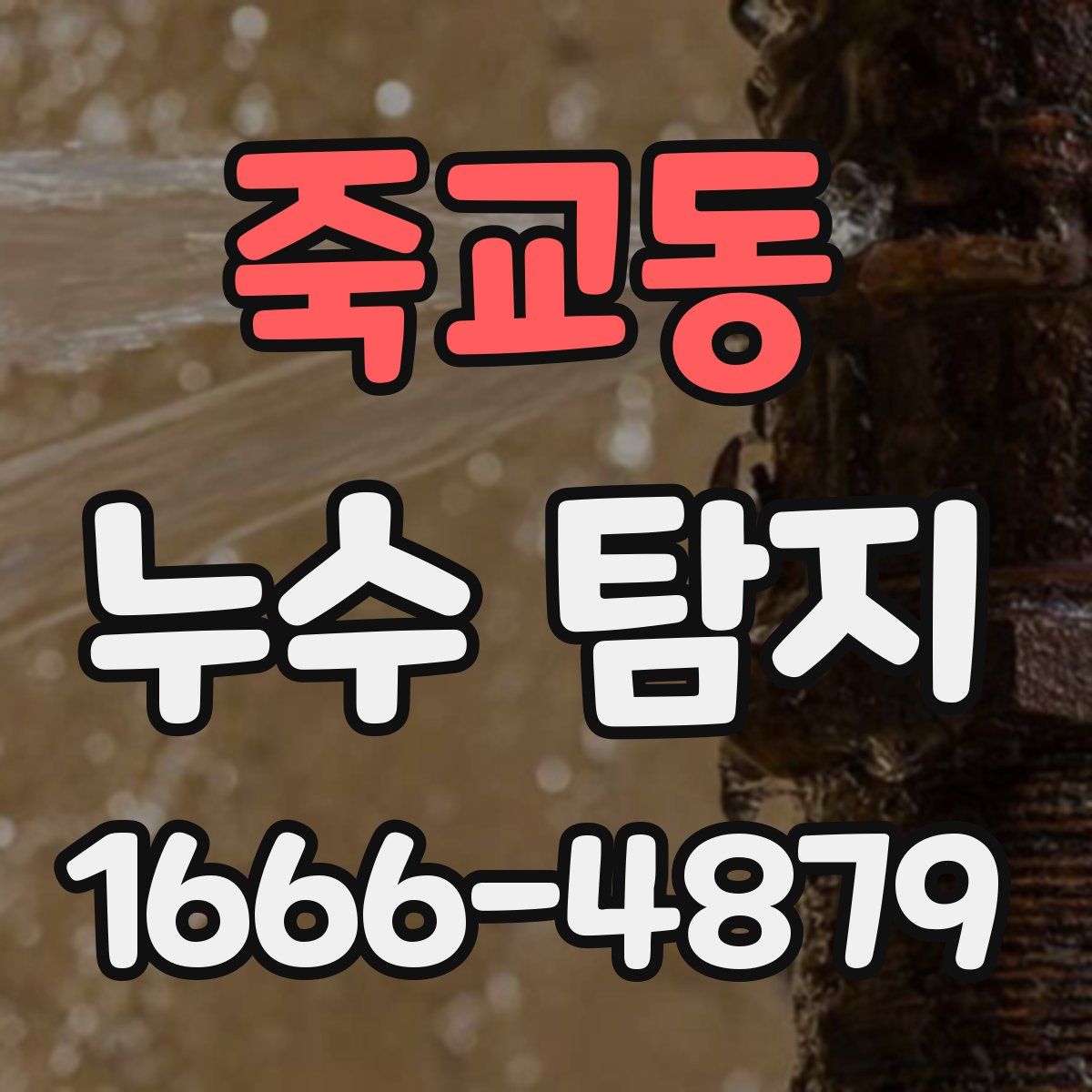 죽교동 누수 탐지