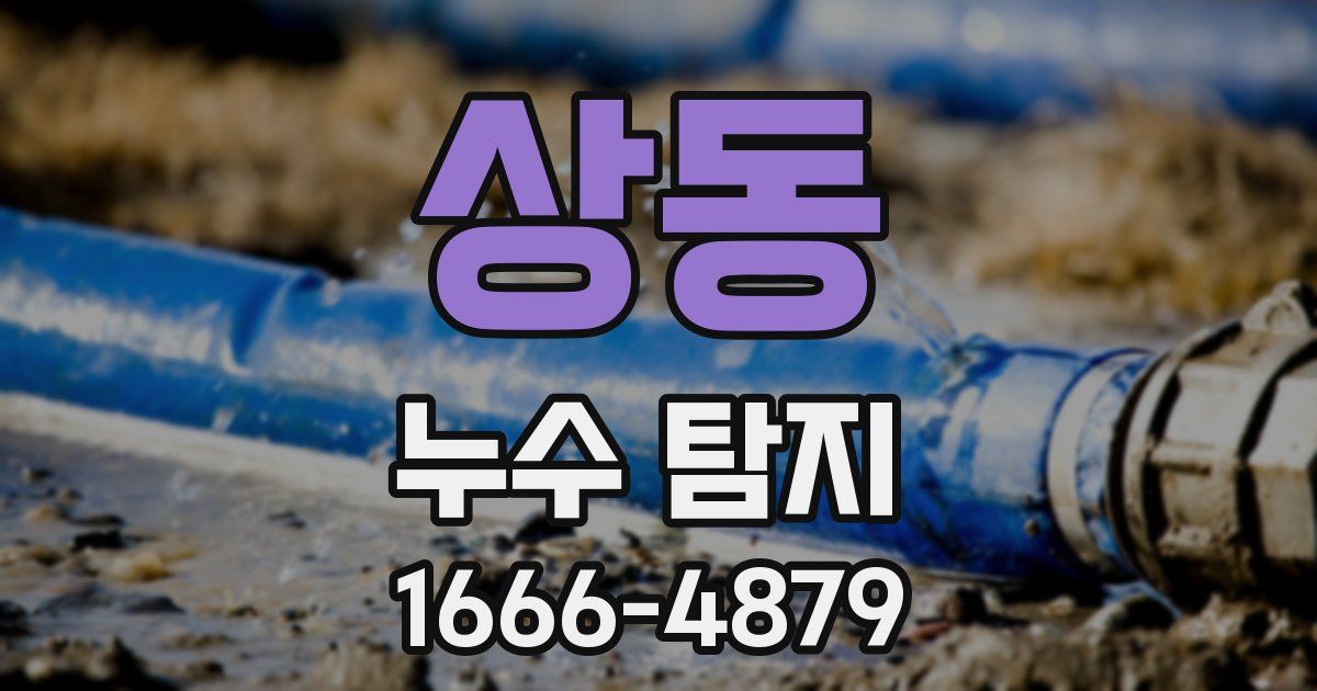 상동 누수 탐지