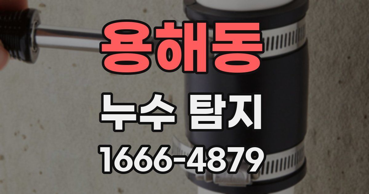 용해동 누수 탐지
