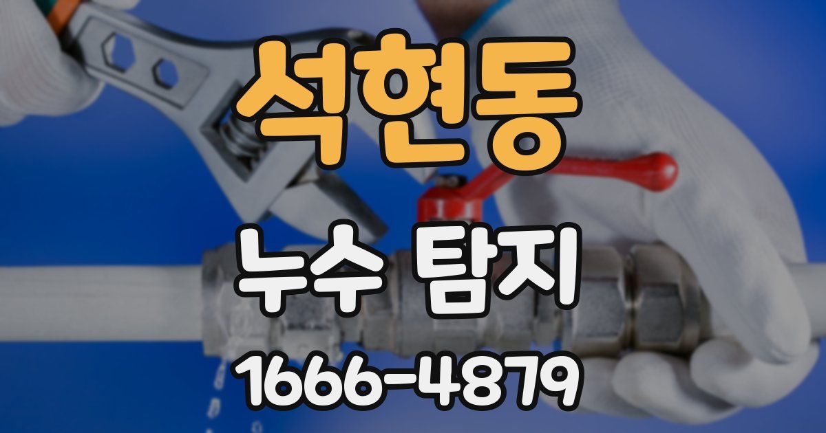 석현동 누수 탐지