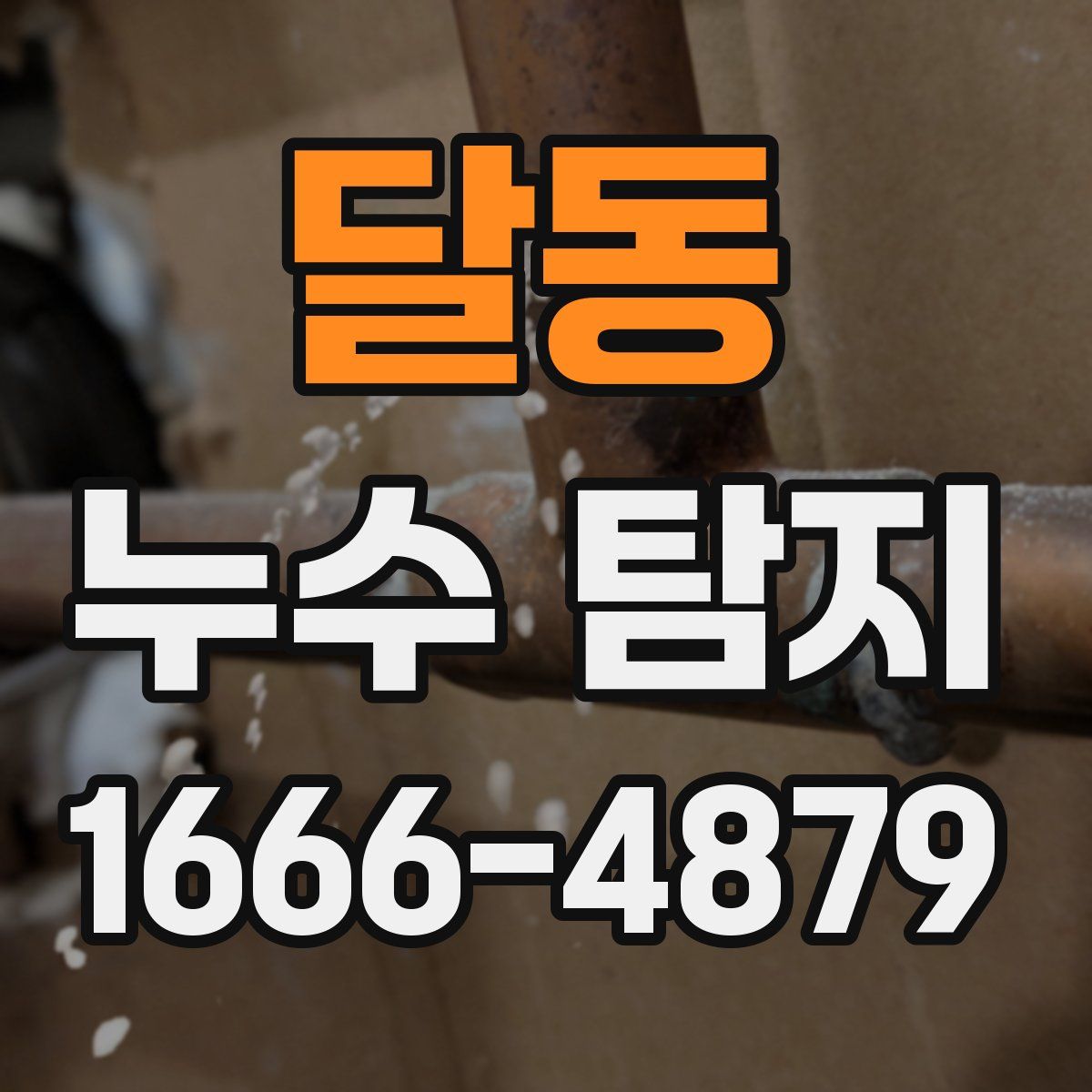 달동 누수 탐지