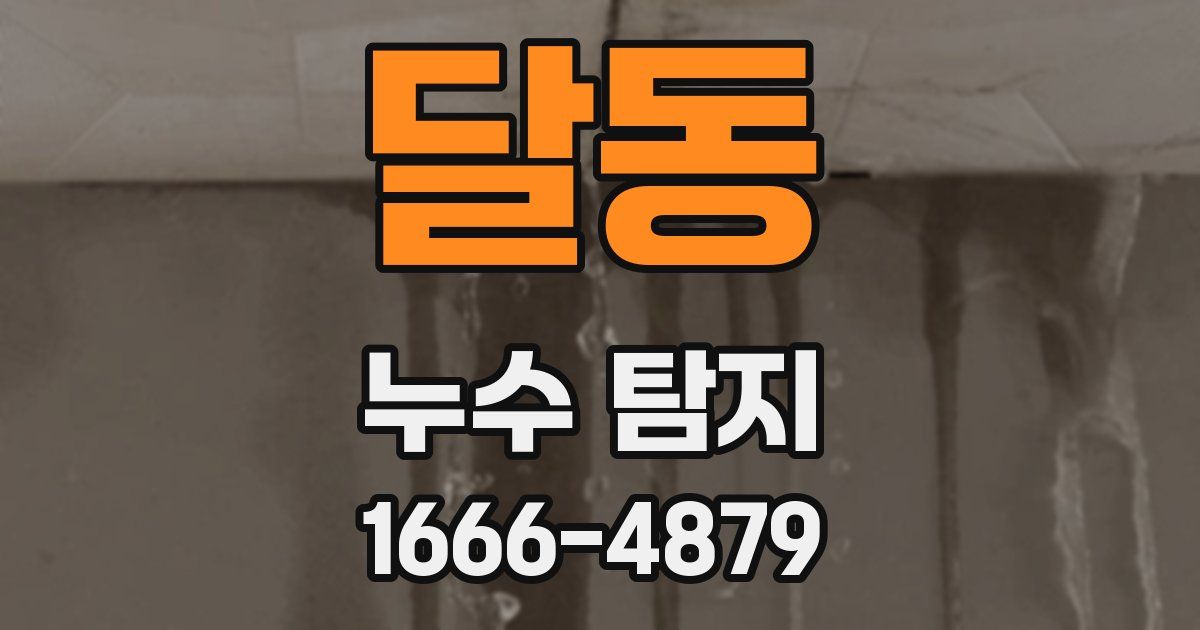 달동 누수 탐지