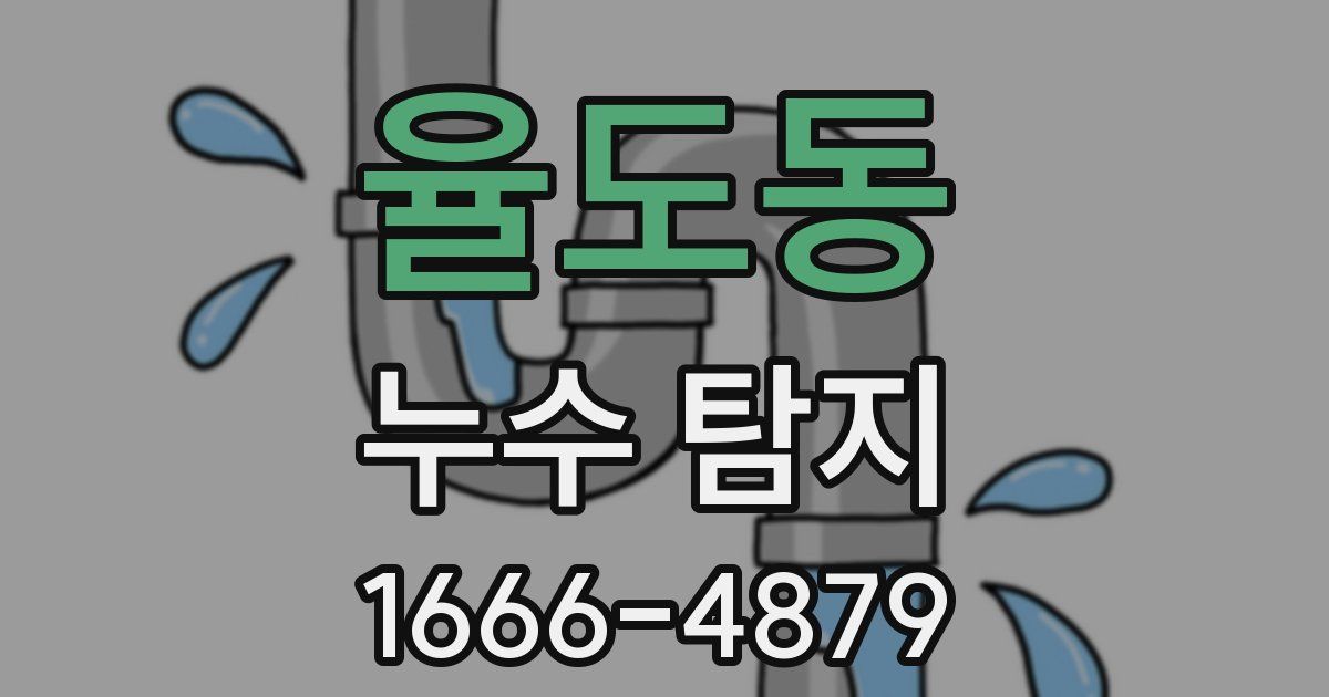 율도동 누수 탐지