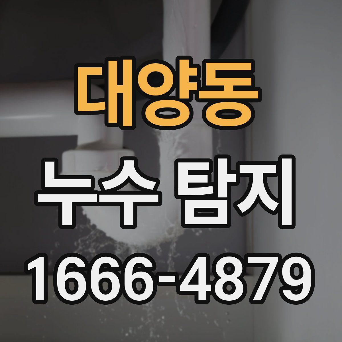 대양동 누수 탐지