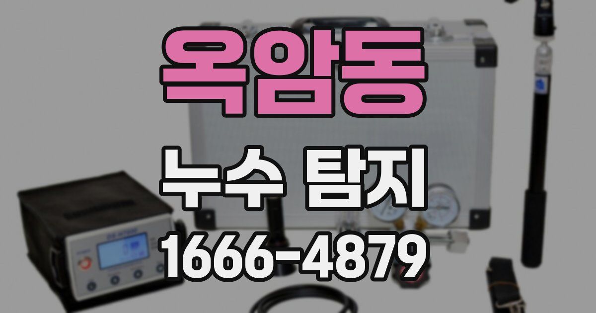 옥암동 누수 탐지