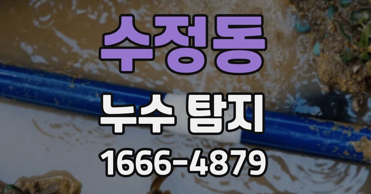 수정동 누수 탐지