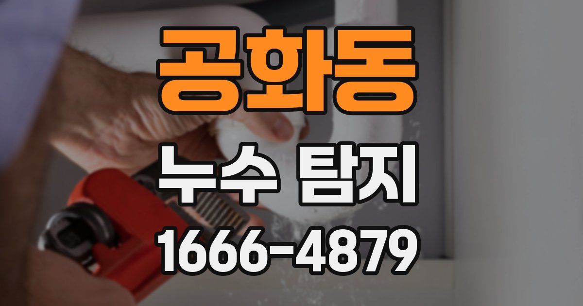공화동 누수 탐지