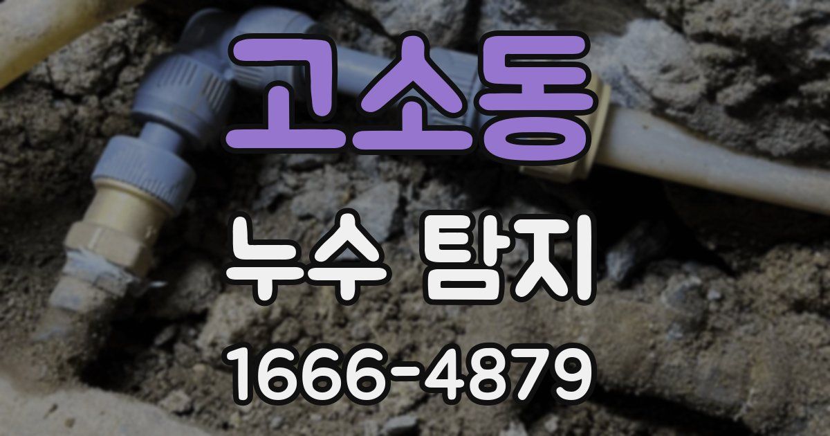 고소동 누수 탐지