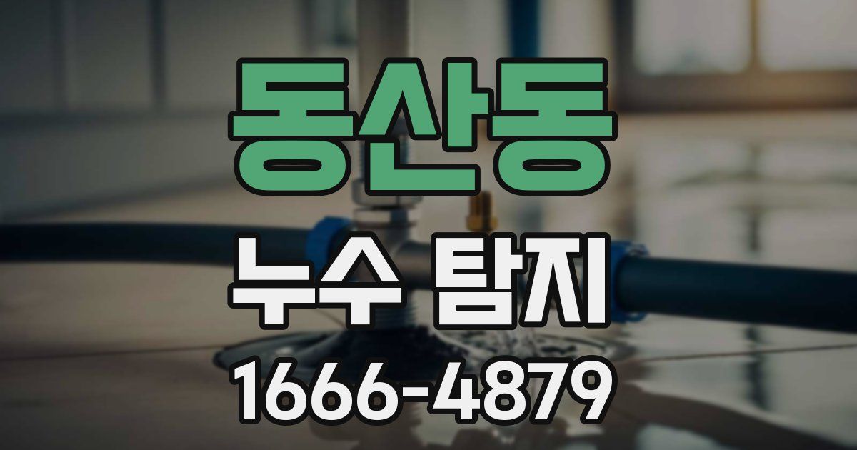 동산동 누수 탐지