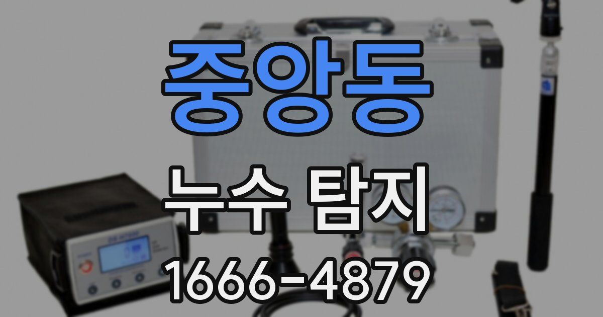 중앙동 누수 탐지