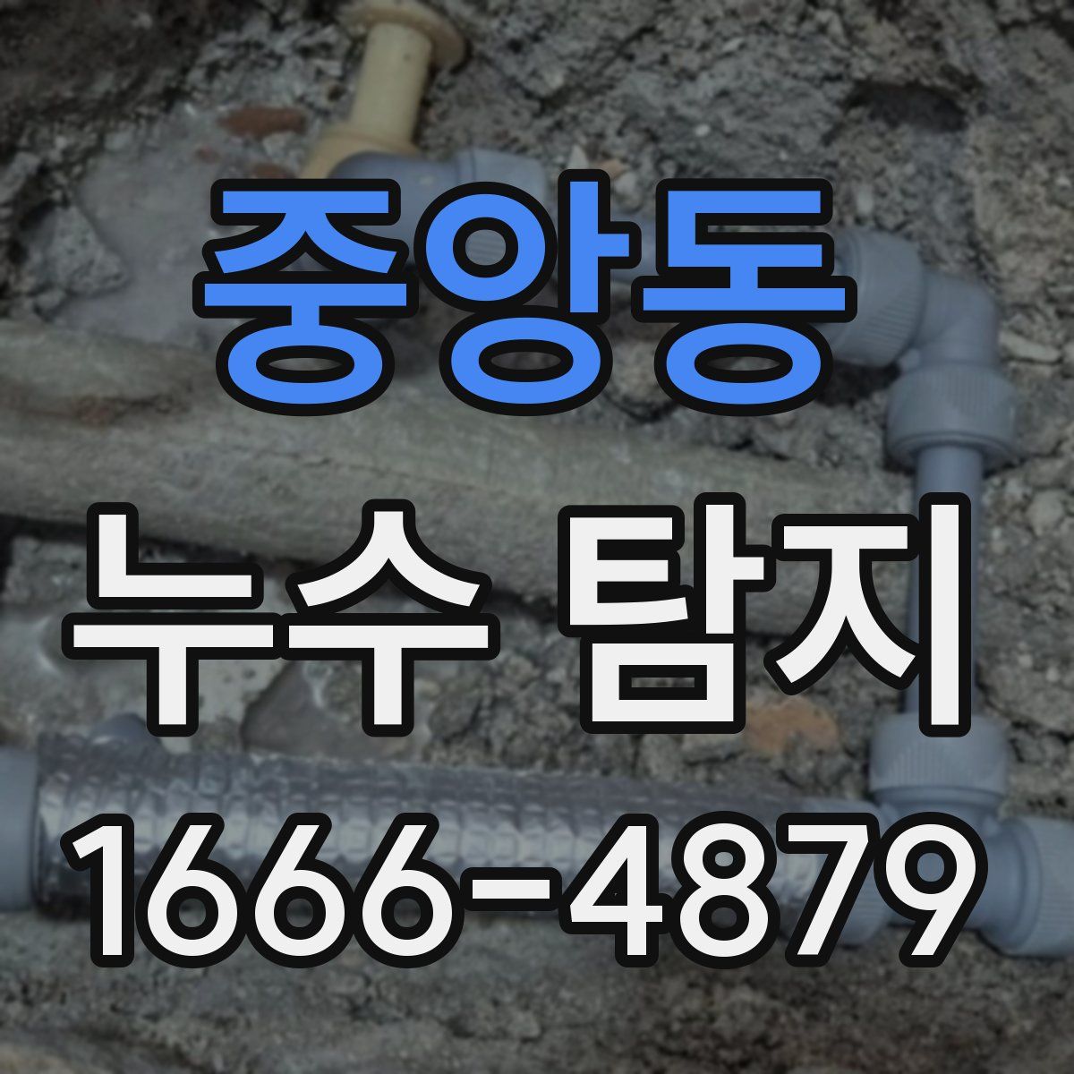 중앙동 누수 탐지