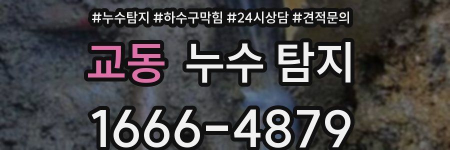 교동 누수 탐지